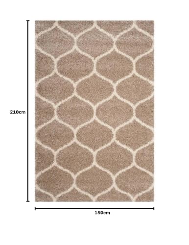 Image of F & B RUGS ; SUPERIOR QUALITY PRODUCTS Firoz and Brothers Handwoven Super Soft Indoor Modern Shag Microfibre Silky Fluffy Smooth 5x7 feet Beige Ivory