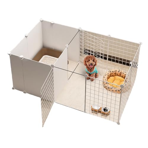 AOUTNybgtFX puRrl[V ^p gCGA z[tFX pP[W (zCg)