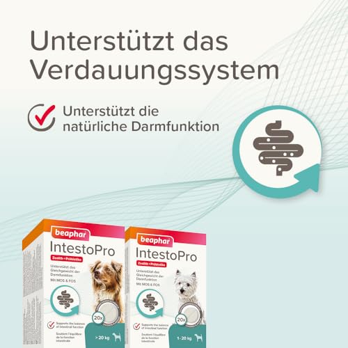 BEAPHAR - IntestoPro Tabs Für Große Hunde - Mit Zeolith - Mit MOS & FOS - Unterstützt Das Gleichgewicht Der Darmfunktion - 20 Stück