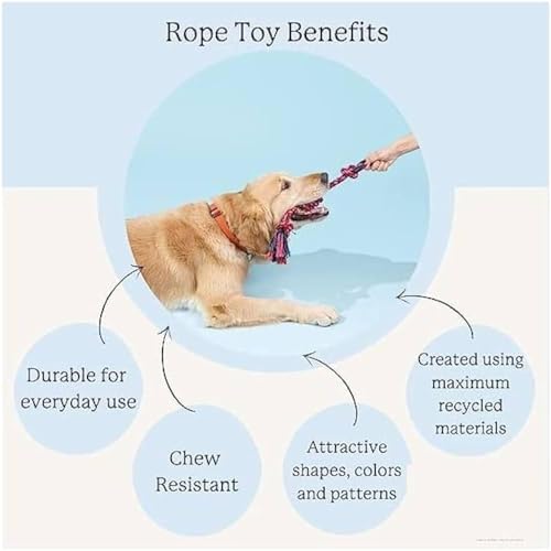 Image of Dog Toy Set - Tail, Chew, Puppy Teething, Rope, Squeaky Toys for Small to Medium Dogs (Pack of 6)