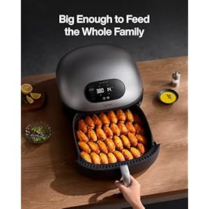 Dome Air Fryer, Large No.1 Speed Air Fryer