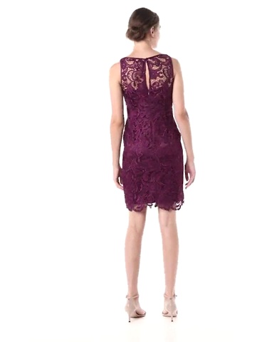 Amazon.com: Adrianna Papell Women's Illusion Neckline Lace Dress, Navy, 16  : Clothing, Shoes & Jewelry