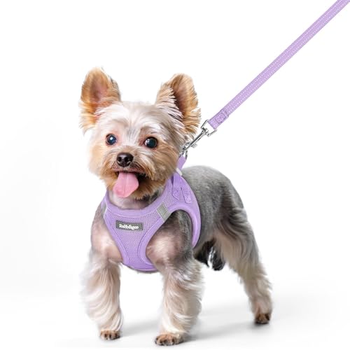 Image of rabbitgoo Dog Harness Small Sized and Leash Set, Step-in Puppy Pet Vest