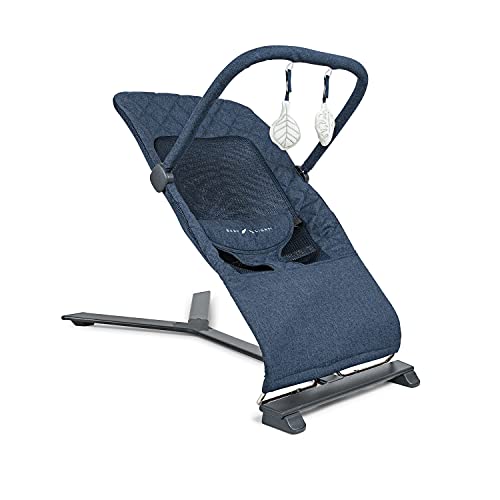 Image of Baby Delight Alpine Deluxe Portable Bouncer, Infant, 0 – 6 Months, Quilted Indigo