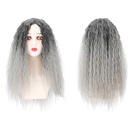 MEIRIYFA Long Curly Wavy Fluffy Hair Wigs for Women Girls Middle Part Natural Looking Water Wavy Hairpieces Synthetic Full Head 25-Inch (Silver-gray)