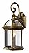 Trans Globe Lighting 4181 VG Outdoor Wentworth 15.75" Wall Lantern, Verde Green