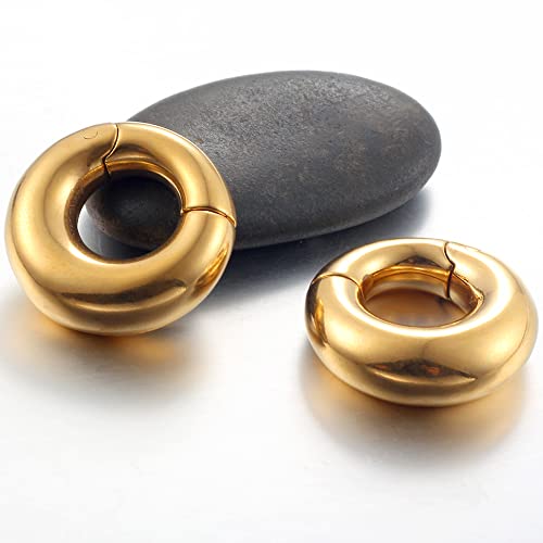 Casvort 2 PCS Hypoallergenic 316 Stainless Steel Halo Ear Hangers Basic Hot Ear Weights Gauges Plugs for Stretched Lobe Body Jewelry Piercing Plug Pair Selling 2g 0g3