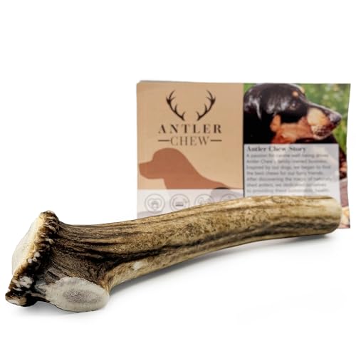 Antler Dog Chews by Antler Chew Extra Large (250350g From 15cm) | Naturally Shed & Sanded | Long-Lasting Odourless Chew for Large Breeds | Supports Dental Health
