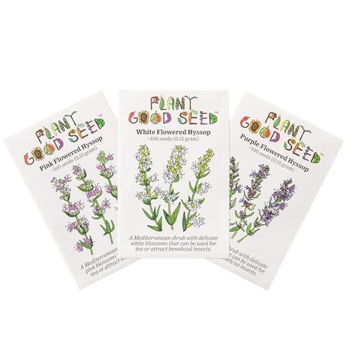Plant Good Seed Organic Hyssop Seed Collection - 3...
