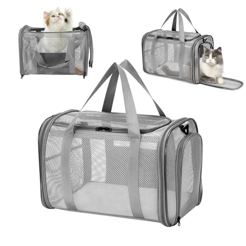 Quuylin Trasportino per Gatti, Borsa Trasportino Cani Gatti con Tracolla, Trasportino Gatto Portabile e Traspirante, Borsa Pieghevole per Cuccioli per Treno, Viaggi(42x26x29cm)