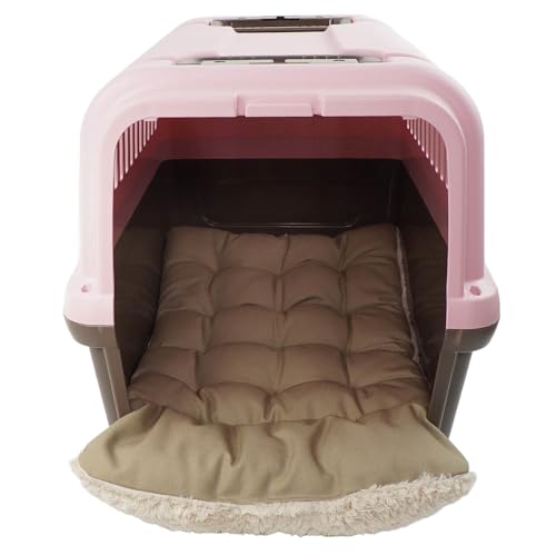 Helen's ̂ N[gNbV Wzn Jt@[ LTCY