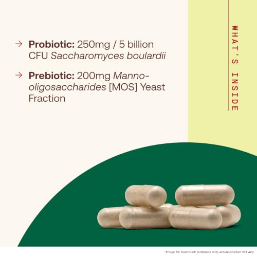 Image of Jarrow Formulas Saccharomyces Boulardii + MOS Probiotics for Digestive Health and Intestinal Tract Support - 5 Billion CFU Per Serving - 90 Delayed Release Caps - Probiotic + Prebiotic - 90 Servings
