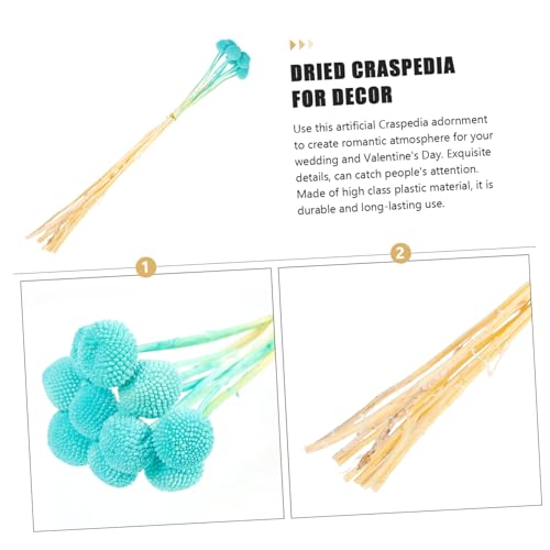 Flores secas Craspedia 10 piezas para decoración miniatura 5