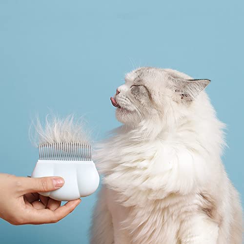 Taiyo Pluss Discovery® Shell Type Pet Comb for Grooming and Deshedding, Suitable for dogs, cats and other small animals (Size : 9 cm X 8 cm) (Colour May Vary) 4