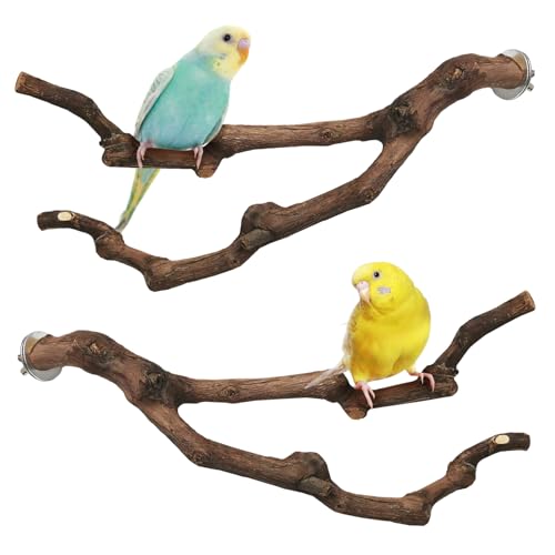 Image of PINVNBY Natural Parrot Perch Grape Wood Bird Stand Pole Parakeet Paw Grinding Fork Chewable Climbing Branches Toy Bird Cage Accessories for Budgies Conures Cockatiels Lovebirds (2 PCS, 11.8IN)