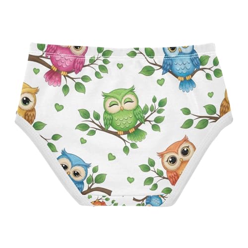 Underwear for Girls, Cute Cartoon Owls Colorful Toddler Girl Briefs, Cotton Girls Underwear, 2T–8 Years2