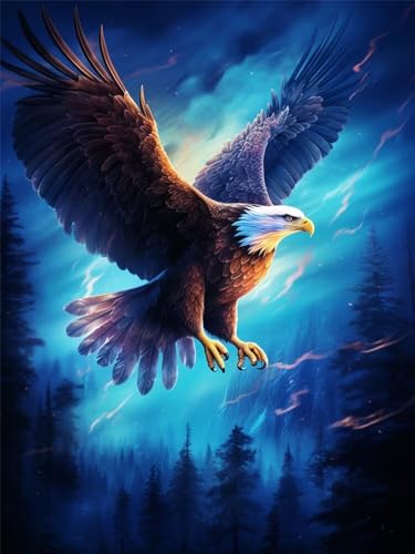 Diamond Painting Aigle Éclair Kit Complet 40x60cm DIY Peinture Diamant YZ1447