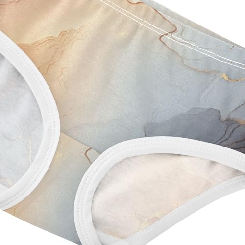 Triangle Panties All Seasons Panties Briefs Underwear for Young Girls in Sizes 2T,3T, 4T, 5T, 6Y and 8Y4