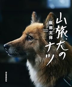 山旅犬のナツ