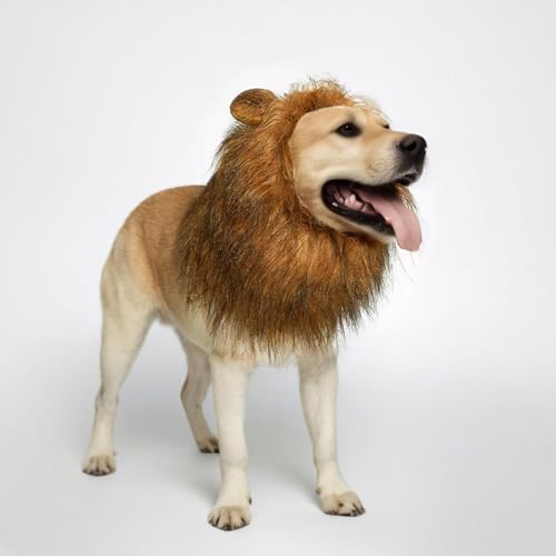 Disfraz León para Perros Grandes con Orejas y Cola miniatura 2