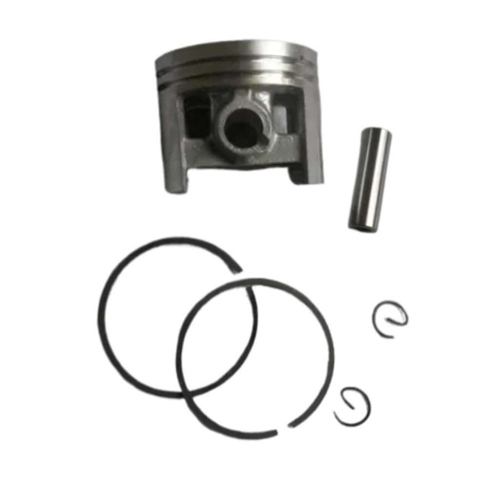 Kit piston 46mm pour nettoyer les feuilles avec BR420