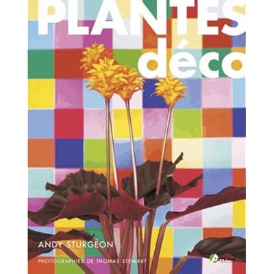 Plantes Deco