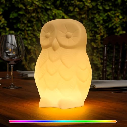 NiceBuy Outdoor Night Light Owl Garden Statue, RGB Color Changing IP44 Water-Resistant Rechargeable LED Cordeless Table Lamp with Remote for Lawn Decor, Outside Patio, Yard, Balcony