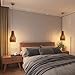 Lampshade Rattan Boho Wicker Pendant Lamp Shades Light Fixtures, Mini Farmhouse Natural Rattan Chandelier Shade Replacement, Retro Wicker Hanging Light Shade for Kitchen Island,Set of 2(Dark Brown)