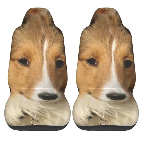 Funda de asiento de coche para perros Sheltie universal y protectora 2