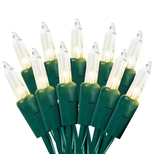 Clear Christmas Lights 100 Count, 21ft Clear Warm...