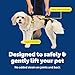 PetSafe CareLift Support Harness - Lifting Aid for Senior or Injured Dogs - Breathable Mesh - Machine Washable - Post-Surgery Dog Support - Small