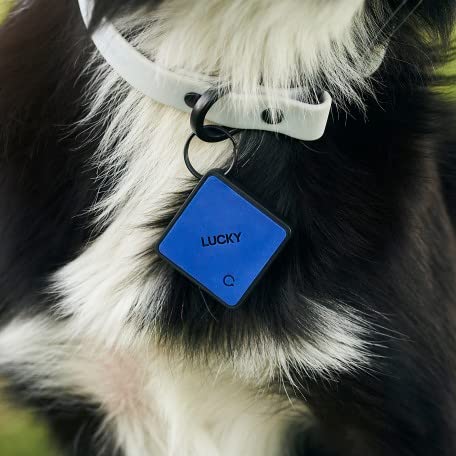 Pet Supplies Dog Tag Qalo QALO TraQ Silicone Pet ID Tag, Durable