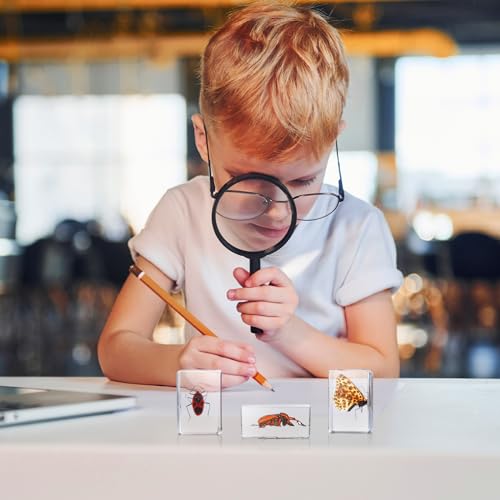 Beeveer GRE-BEEVEER-272 9 Pcs Insect In Resin Specimen Bugs Collection Paperweights Arachnid Butterfly Bug Toys Different Real Bugs In Resin Educational Science Classroom Specimens Display Supplies thumb #5