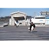 Flow Surf Skates Cruiser - 29x10 7-Ply North American Maple Deck, Carving Truck, Fully Assembled, Supports up to 275 lbs for Surf-Like Carving