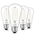Lumiverse Edison Light Bulbs 60 Watt, 2700K Soft White, Non-Dimmable, Vintage Light Bulbs, ST19 E26 Medium Base Antique LED Filament, Clear Glass, Pack of 4