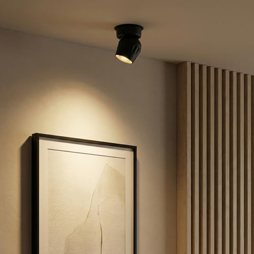 Image of 12W Indoor Ceiling Spotlight, Hardwired Directional Dimmable Fixture | Modern LED Spot Light Indoor, 350 Rotation, Surface Mount Accent Light for Picture Painting Living Room Bedroom, CRI97 White