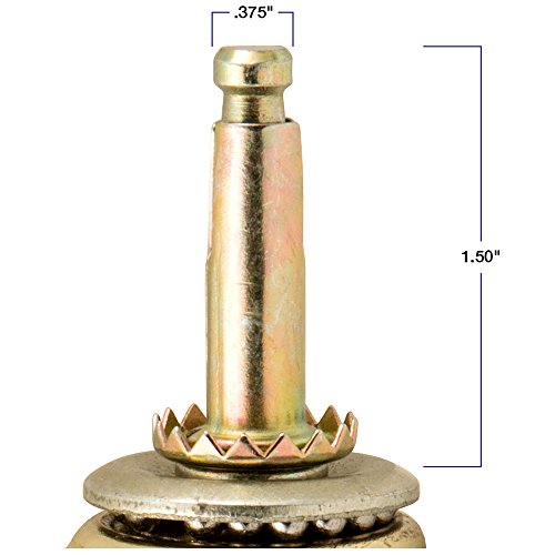 Titan 2" Hooded Caster Wheels with Swivel Stem, 80 lb Load Capacity, Brass (2 Pack) - Thumbnail 4