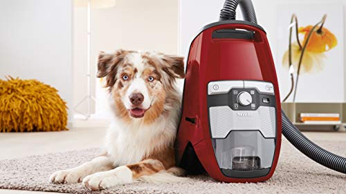 Miele 10502220 Blizzard CX1 Cat and Dog Bagless Vacuum Cleaner, Autumn Red Miele 10502220 Blizzard CX1 Cat and Dog Bagless Vacuum Cleaner, Autumn Red