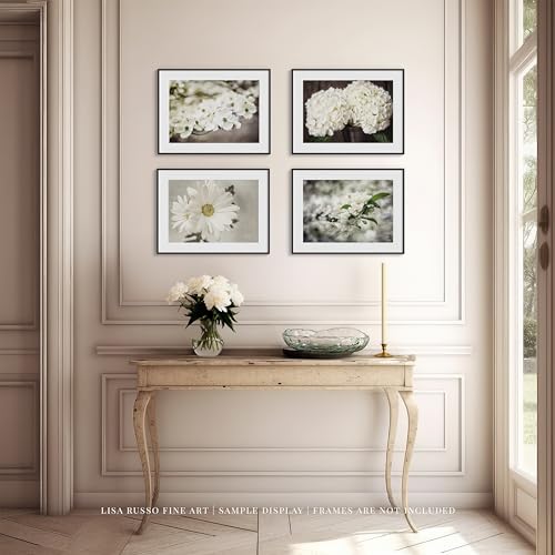 Lisa Russo Fine Art Shabby Chic Beige Brown Off White Flower Photo Prints - Set Of 4 Small 5X7 Inch Unframed - Botanical Art thumb #4
