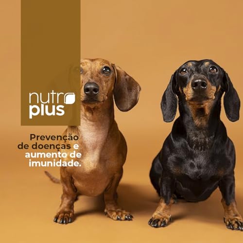 Suplemento Nutroplus Sênior 500gr
