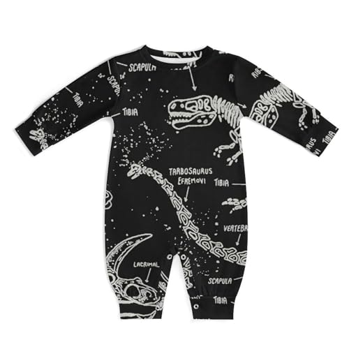 [A^`[] xr[ ̉ ̍ p[X Ԃ V ̎q j̎q OJ _炩 v[g 3-6M