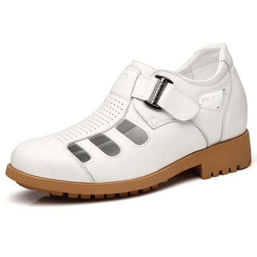 [D.IIZOO] 8cm  V[NbgV[Y vC Y 8cm V[NbgT_ rWlX ItBX JWA amC ėp ʋC Ȃ F0703A (zCg, 25.0 cm)