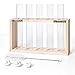 Mkono Wall Hanging Plant Propagation Station 5 Tubes with Wooden Stand Desktop Plant Terrarium for Hydroponic Plants, Home Office Decor Planter Gardening Gifts, Beige