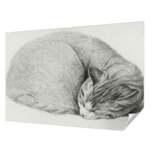 Papel pintado vintage autoadhesivo Tulup de gato acurrucado para decoracion de pared 152x104 cm 2