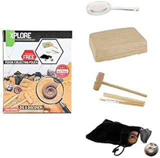 UMKYTOYS Kids Fossil Dig Kit – Excavate Real Fossils Boys And Girls STEM Science Gift Archaeology Enthusiasts