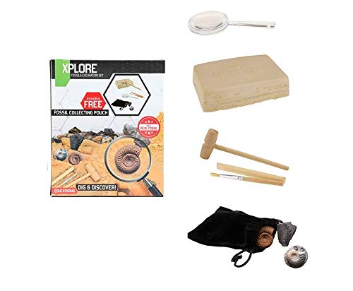 UMKYTOYS Kids Fossil Dig Kit – Excavate Real Fossils Boys And Girls STEM Science Gift Archaeology Enthusiasts