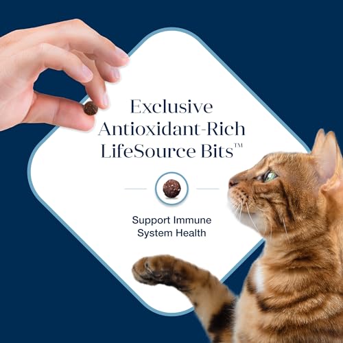 Blue Buffalo 800111 Basics Grain-Free Dry Cat Food, Skin & Stomach Care, Limited Ingredient Diet For Indoor Cats, Fish & Potato Recipe thumb #5