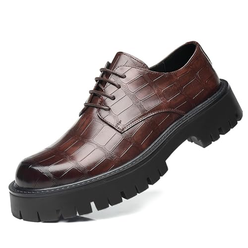 Men’s Classic Dress Oxford Shoes, Pointed Toe Lace-up Fashion Classic Pointed Toe Comfortable Loafers Wedding Prom Formal Dress Casual Shoes for Men