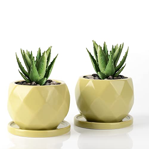 Umlaca 植木鉢 多肉植物 鉢 小型 底穴あり 陶器 ミニ植木鉢 サボテン鉢 ミニ 植木鉢 おしゃれ 陶器製トレイ付き 鉢底ネット付き 2点セット 植物なし (グリーン)のサムネイル