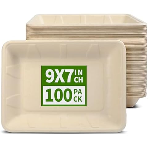 AICHEF 100 Pack 9" Rectangle Paper Plates Cover